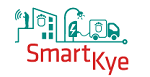 SMARTgrid KeY NEighborhood indicator cockpit